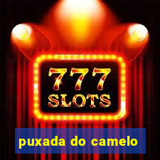puxada do camelo